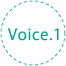 Voice.1