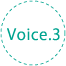 Voice.3